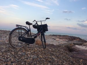 Biking to the beach on a drier day